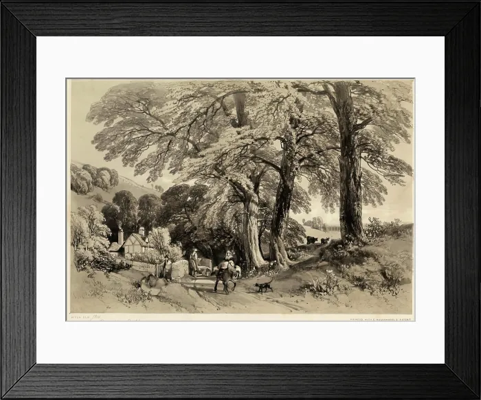 Framed Print : Bury Hill, Dorking, 1825-1849. Creator: James Duffield Harding Framed Print : Bury Hill, Dorking, 1825-1849. Creator: James Duffield Harding