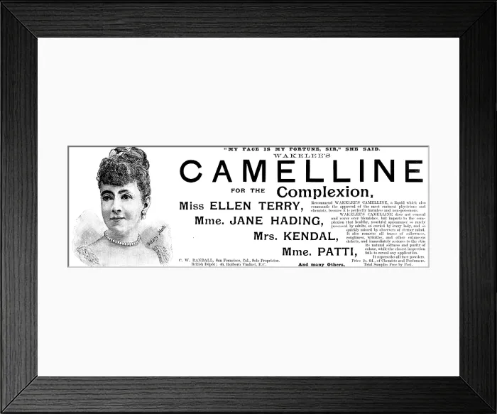 Framed Print : Advertisement for Wakelee's Camelline for the Complexion, 1895. Creator: Unknown. Advertisement for Wakelee's Camelline for the Complexion, 1895. Creator: Unknown Framed Print : Advertisement for Wakelee's Camelline for the Complexion, 1895. Creator: Unknown. Advertisement for Wakelee's Camelline for the Complexion, 1895. Creator: Unknown