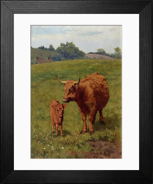 Framed Print : Cow and Calf, 1881. Creator: Bryan Hook Framed Print : Cow and Calf, 1881. Creator: Bryan Hook