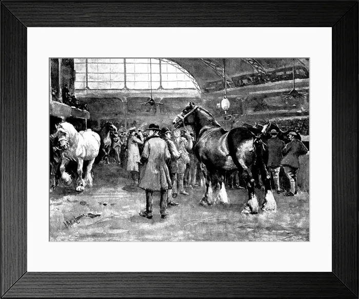 Framed Print : The Shire Horse Show at Islington: preparing for the parade, 1895. Creator: George Meisenbach Framed Print : The Shire Horse Show at Islington: preparing for the parade, 1895. Creator: George Meisenbach