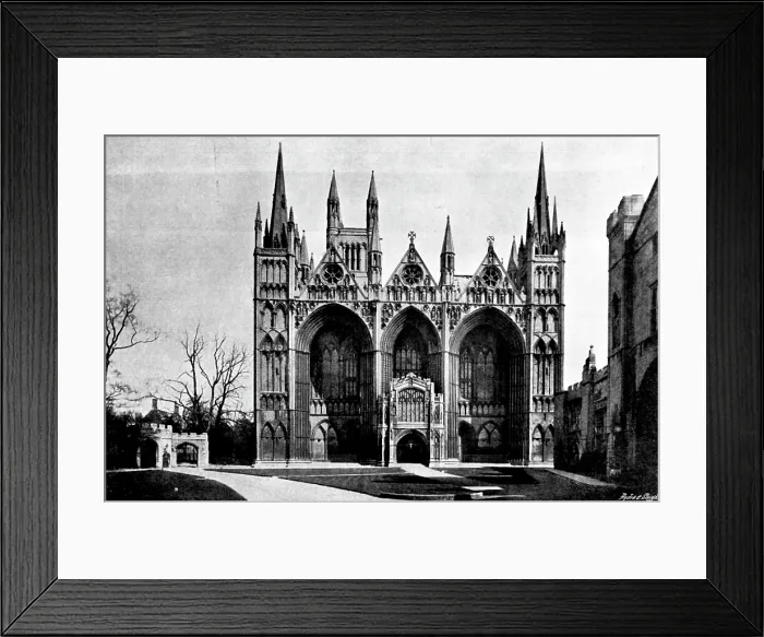 Framed Print : The Cathedrals of England: Peterborough Cathedral, 1895. Creator: Francis Frith & Co Framed Print : The Cathedrals of England: Peterborough Cathedral, 1895. Creator: Francis Frith & Co