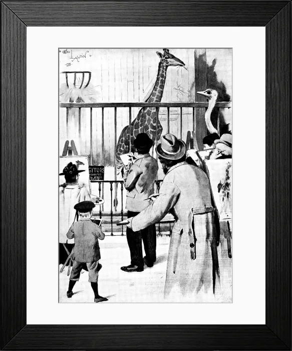 Framed Print : The New Giraffe at the Zoological Society's Gardens, Regent's Park: artists on duty, 1895 Framed Print : The New Giraffe at the Zoological Society's Gardens, Regent's Park: artists on duty, 1895