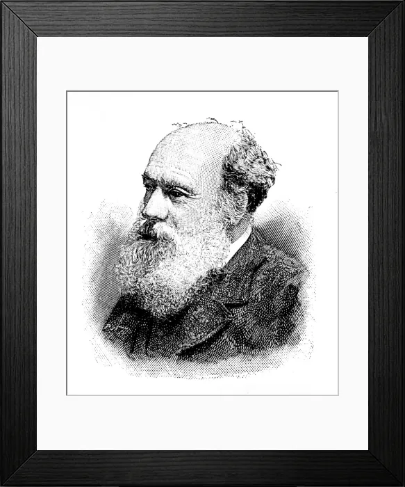 Framed Print : The late Mr. A. D. Fripp, 1895. Creator: P Naumann Framed Print : The late Mr. A. D. Fripp, 1895. Creator: P Naumann