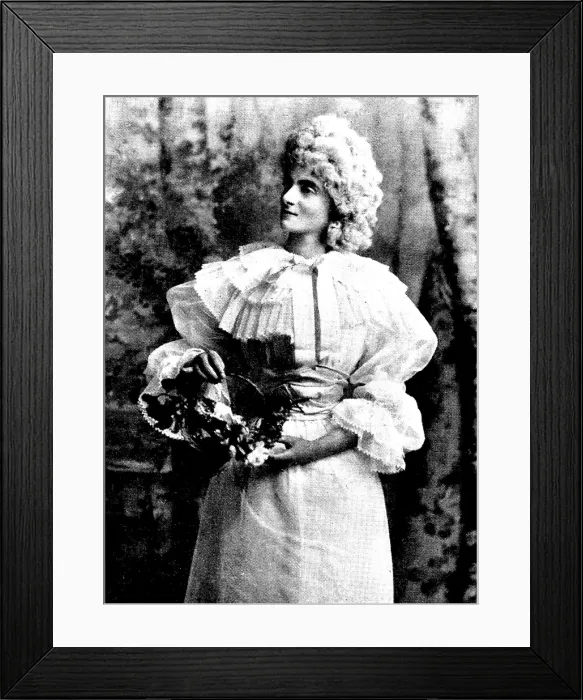Framed Print : Lady Wolseley's costume ball at the Royal Hospital, Dublin, 1895. Creator: Lafayette. Lady Wolseley's costume ball at the Royal Hospital, Dublin, 1895. Creator: Lafayette Framed Print : Lady Wolseley's costume ball at the Royal Hospital, Dublin, 1895. Creator: Lafayette. Lady Wolseley's costume ball at the Royal Hospital, Dublin, 1895. Creator: Lafayette