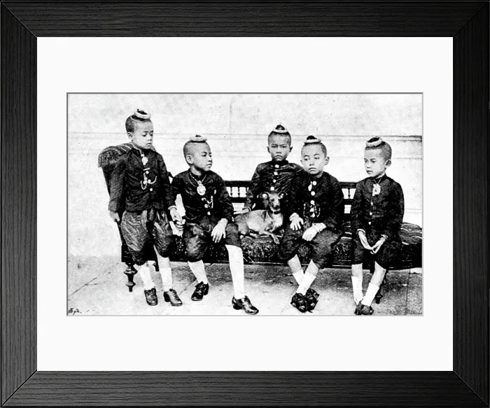 Framed Print : The Far East: the late Crown Prince of Siam and some of his brothers, 1895. Creator: Unknown