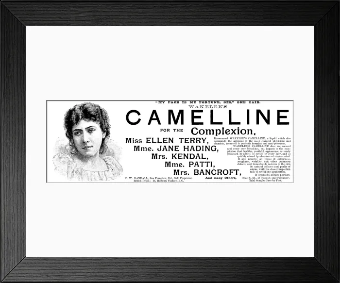 Framed Print : Advertisement for Wakelee's Camelline for the Complexion, 1895. Creator: Unknown. Advertisement for Wakelee's Camelline for the Complexion, 1895. Creator: Unknown Framed Print : Advertisement for Wakelee's Camelline for the Complexion, 1895. Creator: Unknown. Advertisement for Wakelee's Camelline for the Complexion, 1895. Creator: Unknown
