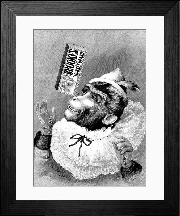 Framed Print : Advertisement for Brooke's Monkey Brand Soap, 1895. Creator: Unknown. Advertisement for Brooke's Monkey Brand Soap, 1895. Creator: Unknown Framed Print : Advertisement for Brooke's Monkey Brand Soap, 1895. Creator: Unknown. Advertisement for Brooke's Monkey Brand Soap, 1895. Creator: Unknown