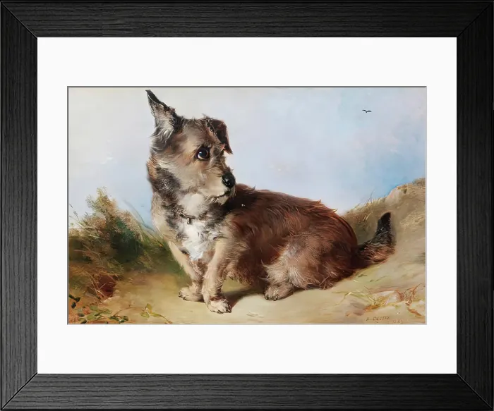 Framed Print : A Terrier Dog, 1852. Creator: James Cassie Framed Print : A Terrier Dog, 1852. Creator: James Cassie