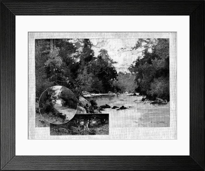 Framed Print : The Homes of Irish Landlords - No. I. Curraghmore: views in the park, 1895. Creator: Unknown Framed Print : The Homes of Irish Landlords - No. I. Curraghmore: views in the park, 1895. Creator: Unknown