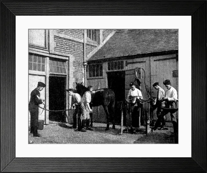 Framed Print : The Volunteer Manoeuvres at Brighton: Transport stable work at 5.30 a.m. 1895. Creator: Symmons & Thiele Framed Print : The Volunteer Manoeuvres at Brighton: Transport stable work at 5.30 a.m. 1895. Creator: Symmons & Thiele