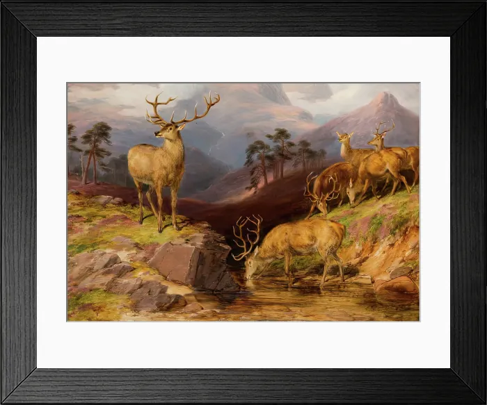 Framed Print : Deer, 1854. Creator: James William Giles Framed Print : Deer, 1854. Creator: James William Giles