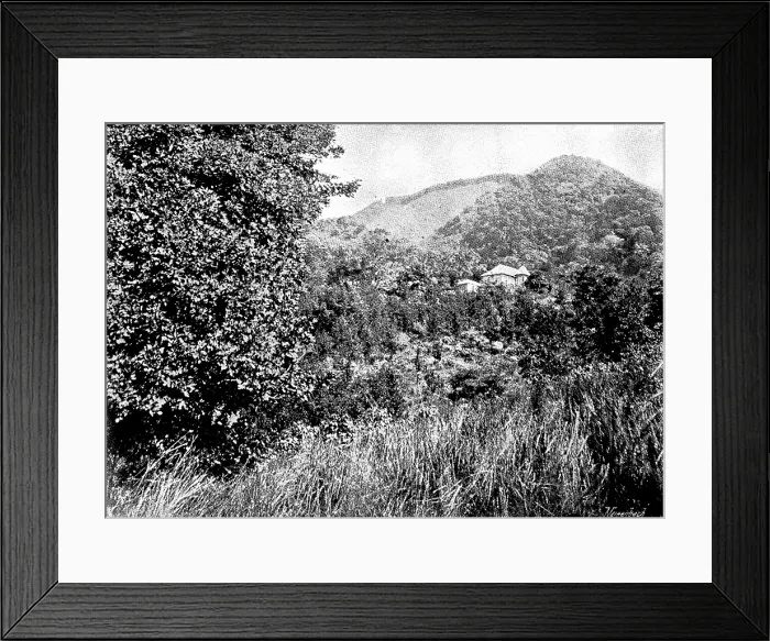 Framed Print : The Island of Montserrat (West Indies) - Manager's House, 1895. Creator: Unknown. The Island of Montserrat (West Indies) - Manager's House, 1895. Creator: Unknown Framed Print : The Island of Montserrat (West Indies) - Manager's House, 1895. Creator: Unknown. The Island of Montserrat (West Indies) - Manager's House, 1895. Creator: Unknown
