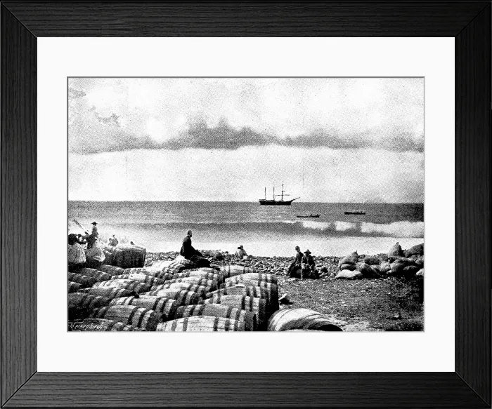 Framed Print : The Island of Montserrat (West Indies) - barquentine 'Hilda' loading lime juice, 1895. Creator: Unknown Framed Print : The Island of Montserrat (West Indies) - barquentine 'Hilda' loading lime juice, 1895. Creator: Unknown