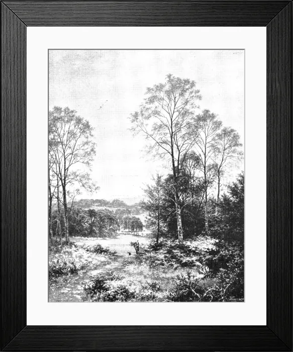 Framed Print : Pictures from the Royal Academy: A Sunny Morning: Surrey - B. W. Leader, A.R.A. 1895. Creator: George Meisenbach Framed Print : Pictures from the Royal Academy: A Sunny Morning: Surrey - B. W. Leader, A.R.A. 1895. Creator: George Meisenbach