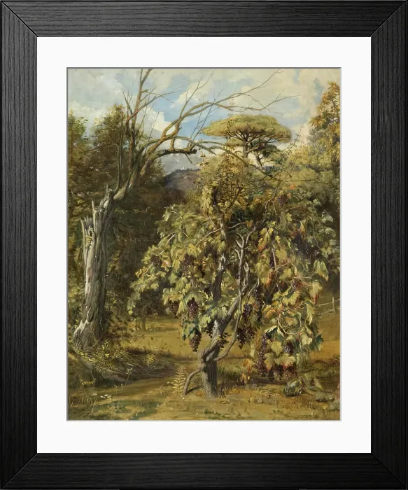 Framed Print : A Vineyard, Gensano, Rome, 1833 - 1838. Creator: Robert Scott Lauder