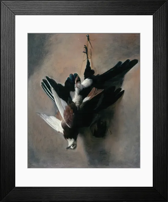 Framed Print : A Pigeon and Magpie, 1685. Creator: William Gowe Ferguson Framed Print : A Pigeon and Magpie, 1685. Creator: William Gowe Ferguson