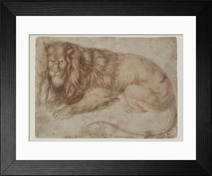 Framed Print : Recumbent Lion, between 1494 and 1495. Creator: Albrecht Durer Framed Print : Recumbent Lion, between 1494 and 1495. Creator: Albrecht Durer