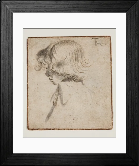 Framed Print : Head of a Boy in Profile, c1634. Creator: Gerard Terborch II Framed Print : Head of a Boy in Profile, c1634. Creator: Gerard Terborch II