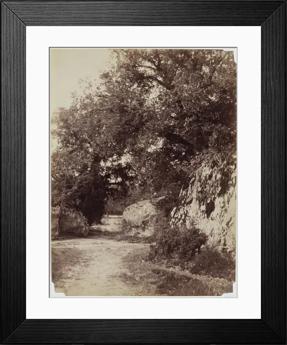 Framed Print : Forest Path, c1853. Creator: Eugene Cuvelier Framed Print : Forest Path, c1853. Creator: Eugene Cuvelier