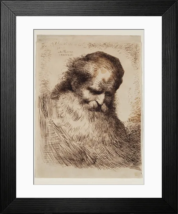 Framed Print : Head of an Old Man, mid-17th century. Creator: Giovanni Benedetto Castiglione Framed Print : Head of an Old Man, mid-17th century. Creator: Giovanni Benedetto Castiglione