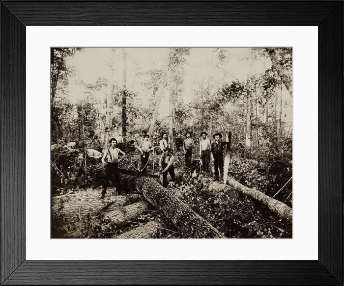 Framed Print : Lumbering Days in Ludington, Michigan, 1890. Creator: H. J. Hansen Framed Print : Lumbering Days in Ludington, Michigan, 1890. Creator: H. J. Hansen