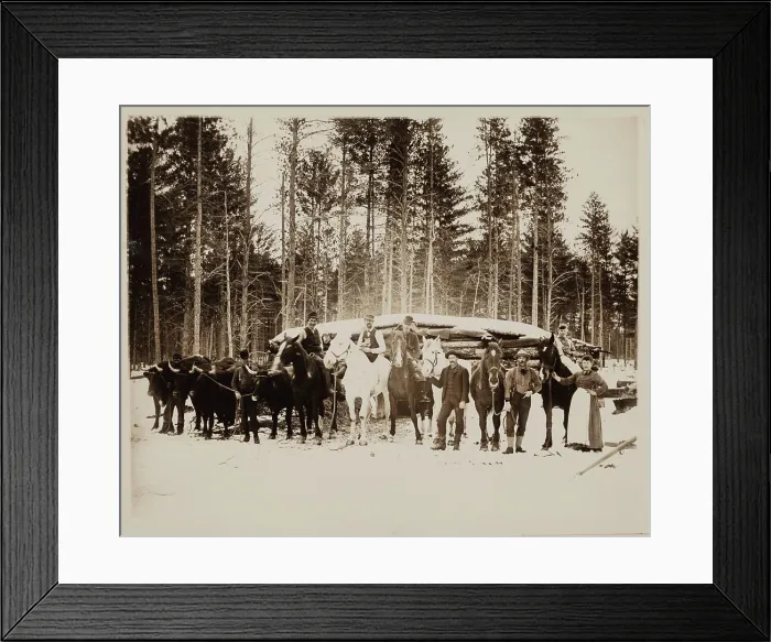 Framed Print : Lumbering Days in Ludington, Michigan, 1890. Creator: H. J. Hansen Framed Print : Lumbering Days in Ludington, Michigan, 1890. Creator: H. J. Hansen