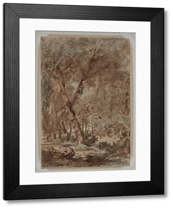 Framed Print : A - Birding, between 1812 and 1867. Creator: Theodore Rousseau Framed Print : A - Birding, between 1812 and 1867. Creator: Theodore Rousseau