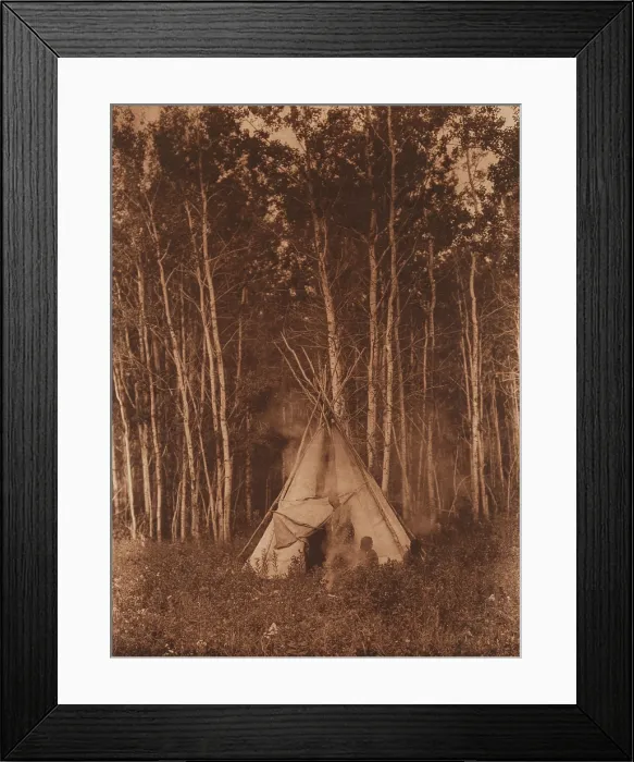 Framed Print : A Chipewyan Tipi among the Aspens, 1926. Creator: Edward Sheriff Curtis Framed Print : A Chipewyan Tipi among the Aspens, 1926. Creator: Edward Sheriff Curtis