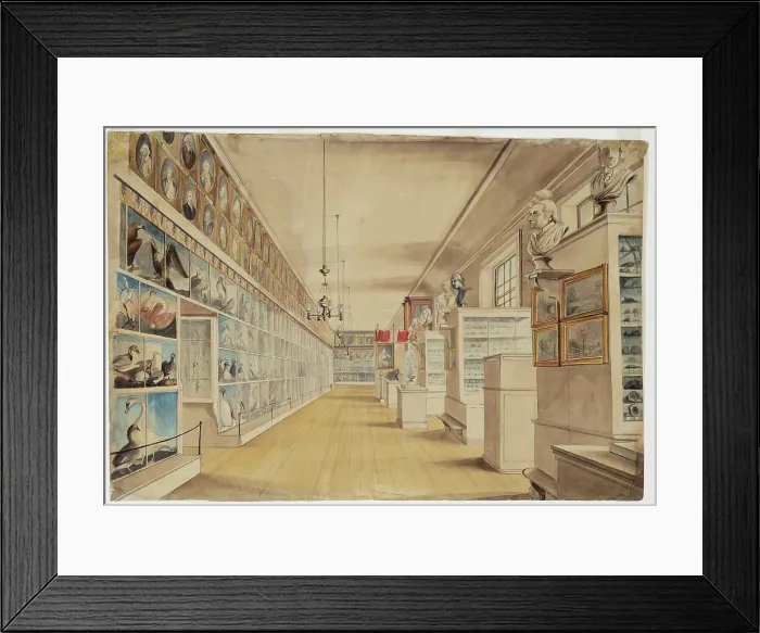 Framed Print : The Long Room, Interior of Front Room in Peale's Museum, 1822 Framed Print : The Long Room, Interior of Front Room in Peale's Museum, 1822