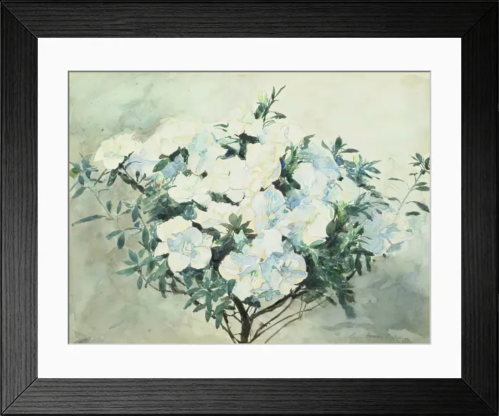 Framed Print : White Azaleas, ex.1909. Creator: Francis Edward James Framed Print : White Azaleas, ex.1909. Creator: Francis Edward James