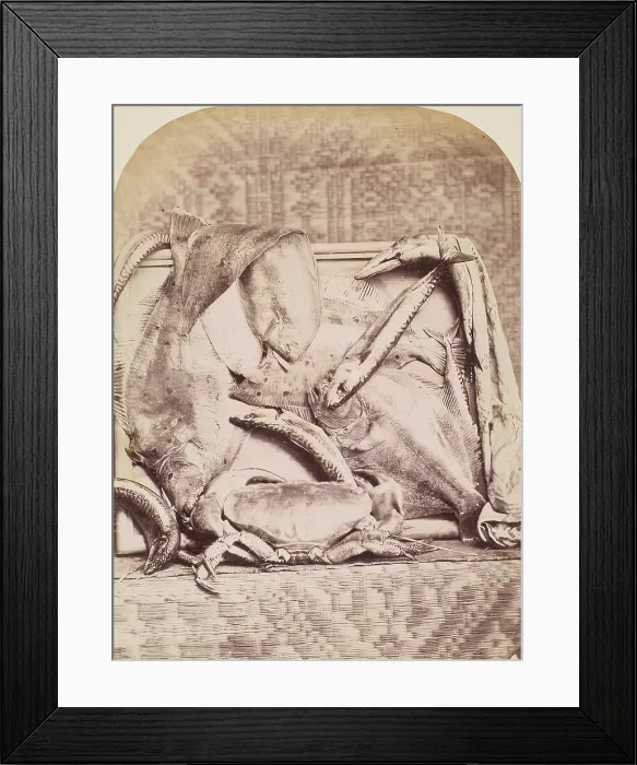 Framed Print : The Catch, Perthshire, from an album compiled by Sir John Everett Millais. Creator: Unknown Framed Print : The Catch, Perthshire, from an album compiled by Sir John Everett Millais. Creator: Unknown