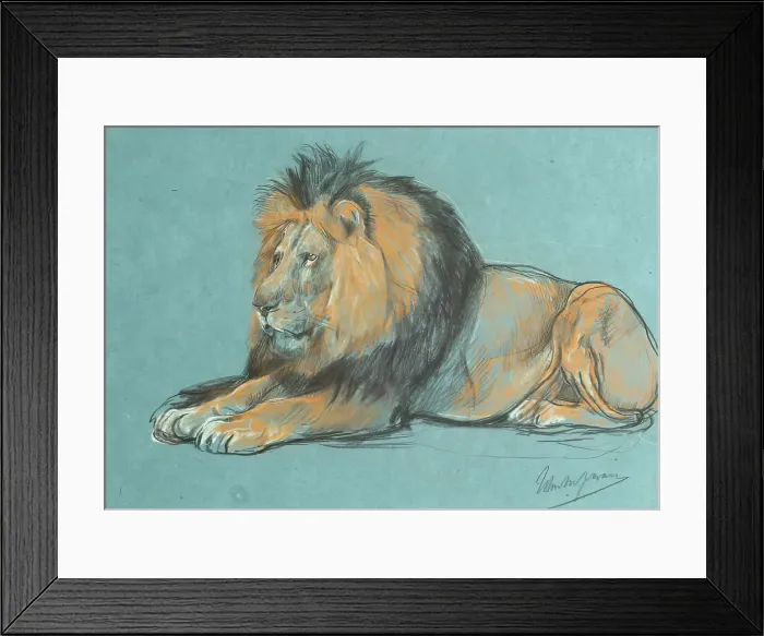 Framed Print : A Black-Maned African Lion. Creator: John MacAllan Swan Framed Print : A Black-Maned African Lion. Creator: John MacAllan Swan