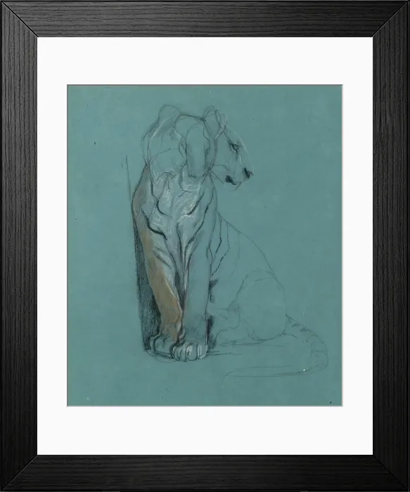 Framed Print : A Seated Tiger, 1900-1910. Creator: John MacAllan Swan Framed Print : A Seated Tiger, 1900-1910. Creator: John MacAllan Swan