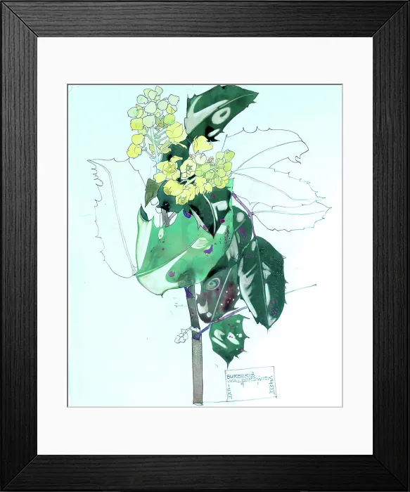 Framed Print : Berberis, Walberswick, 1915. Creator: Charles Rennie Mackintosh Framed Print : Berberis, Walberswick, 1915. Creator: Charles Rennie Mackintosh