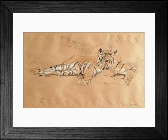 Framed Print : A Tiger Waiting, c1900s. Creator: John MacAllan Swan Framed Print : A Tiger Waiting, c1900s. Creator: John MacAllan Swan