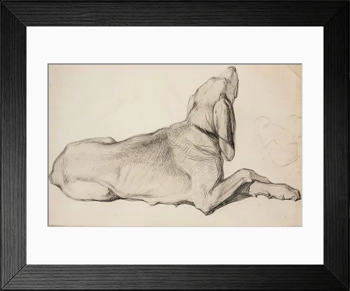 Framed Print : Study of a Labrador, c1840s. Creator: John Phillip Framed Print : Study of a Labrador, c1840s. Creator: John Phillip