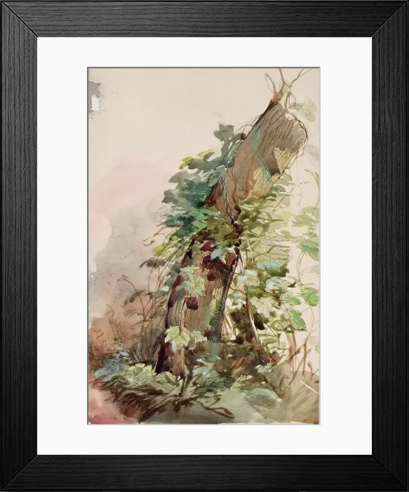 Framed Print : Ivy Covered Tree Stump, c1840s. Creator: John Phillip
