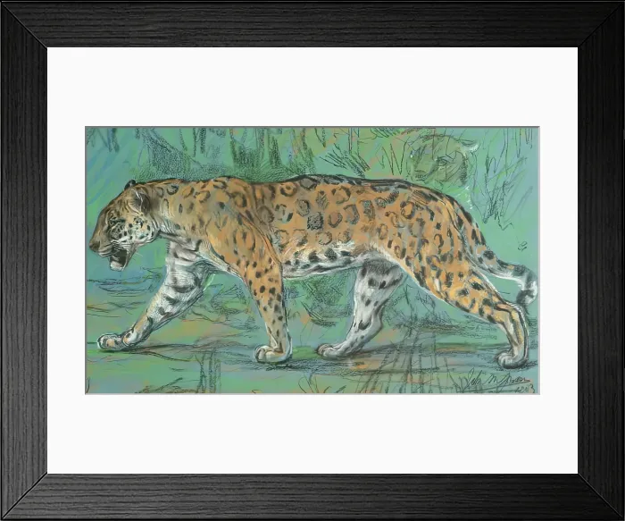 Framed Print : Jaguar Walking, 1903. Creator: John MacAllan Swan Framed Print : Jaguar Walking, 1903. Creator: John MacAllan Swan