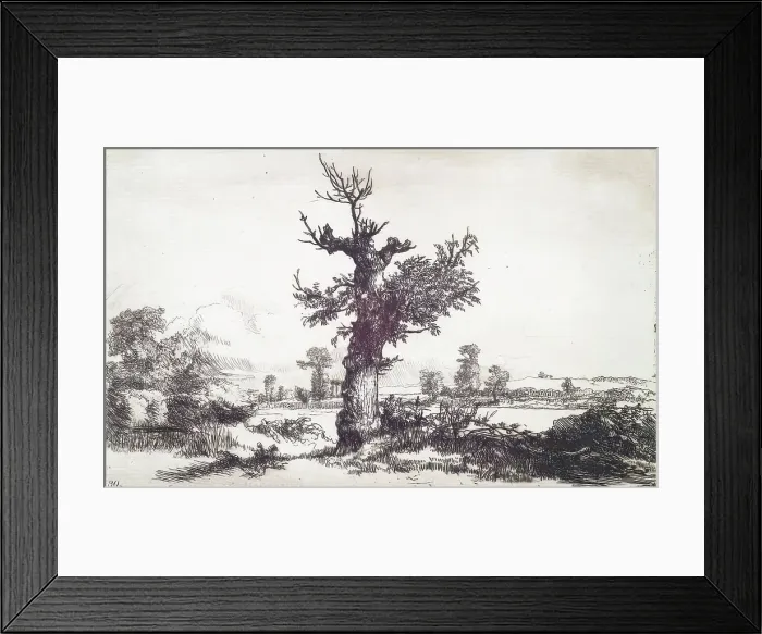 Framed Print : Halliford on Thames: Stump of a Tree in Centre, c1826. Creator: Andrew Geddes Framed Print : Halliford on Thames: Stump of a Tree in Centre, c1826. Creator: Andrew Geddes