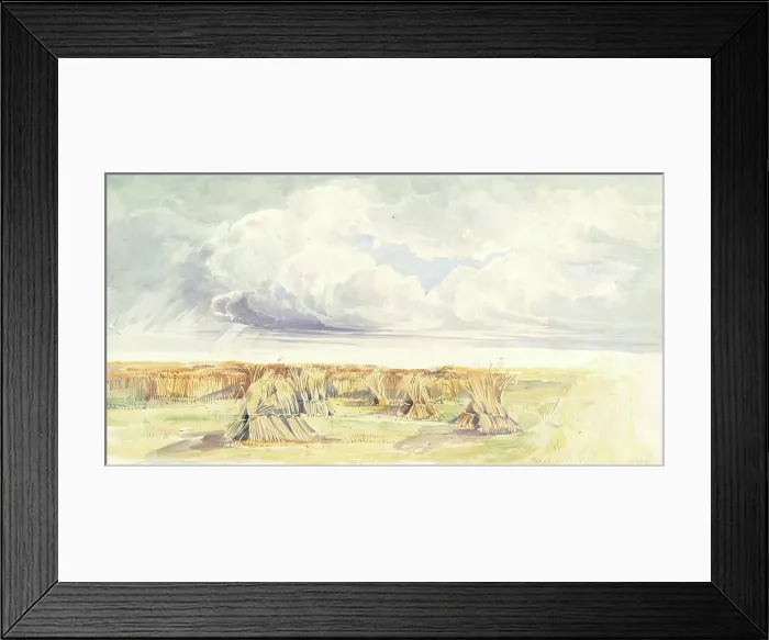 Framed Print : Cornfield with Stormy Sky. Creator: Sophia Dunbar