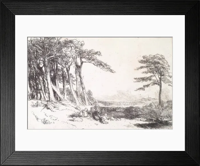 Framed Print : View in Caen Wood, Hampstead, c1800-1844. Creator: Andrew Geddes Framed Print : View in Caen Wood, Hampstead, c1800-1844. Creator: Andrew Geddes