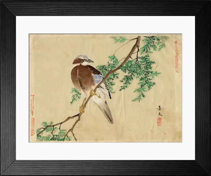 Framed Print : Keibun Kacho (flower and bird) vol 2 no.9, pub 1892. Creator: Matsumura Keibun Framed Print : Keibun Kacho (flower and bird) vol 2 no.9, pub 1892. Creator: Matsumura Keibun