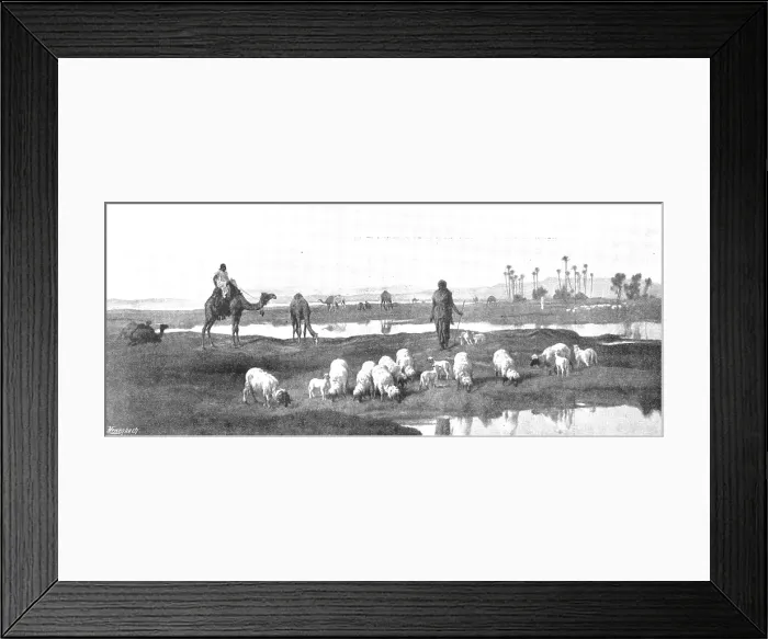 Framed Print : Pictures from the Royal Academy: Laban's Pasture: Jacob Serving for Rachel - F. Goodall, R.A. 1895 Framed Print : Pictures from the Royal Academy: Laban's Pasture: Jacob Serving for Rachel - F. Goodall, R.A. 1895