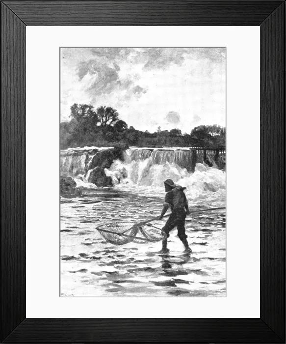 Framed Print : Pictures from the Royal Academy: Salmon-Fishing on the Dee...Shoulder-Net - C. Hunter, A.R.A. 1895. Creator: George Meisenbach Framed Print : Pictures from the Royal Academy: Salmon-Fishing on the Dee...Shoulder-Net - C. Hunter, A.R.A. 1895. Creator: George Meisenbach