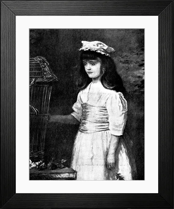 Framed Print : Pictures from the New Gallery: The Empty Cage - Sir John Millais, Bart. R.A. 1895. Creator: George Meisenbach Framed Print : Pictures from the New Gallery: The Empty Cage - Sir John Millais, Bart. R.A. 1895. Creator: George Meisenbach