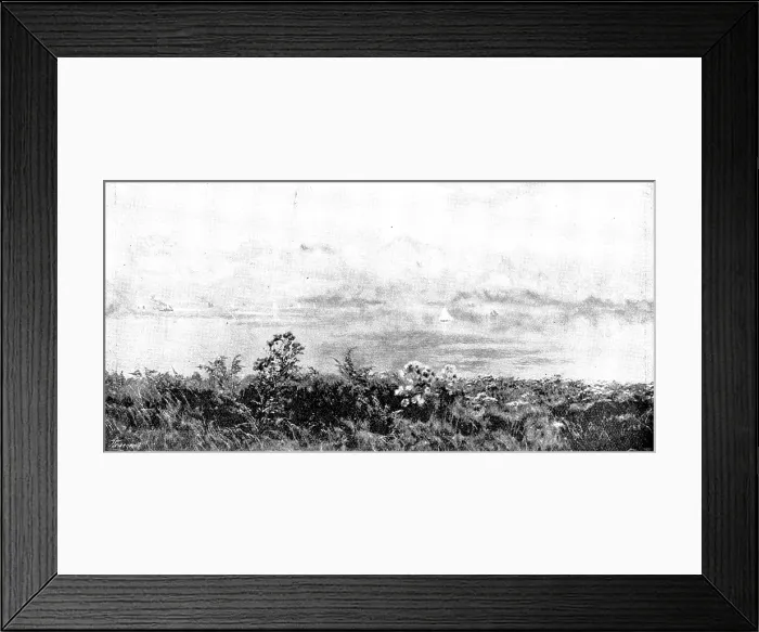 Framed Print : Pictures from the Royal Academy: The Outlook from my Native Cliffs - J. Brett, A.R.A. 1895. Creator: George Meisenbach Framed Print : Pictures from the Royal Academy: The Outlook from my Native Cliffs - J. Brett, A.R.A. 1895. Creator: George Meisenbach
