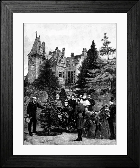 Framed Print : The Queen's Visit to...Friedrichshof: Her Majesty planting a tree in the Castle grounds, 1895 Framed Print : The Queen's Visit to...Friedrichshof: Her Majesty planting a tree in the Castle grounds, 1895