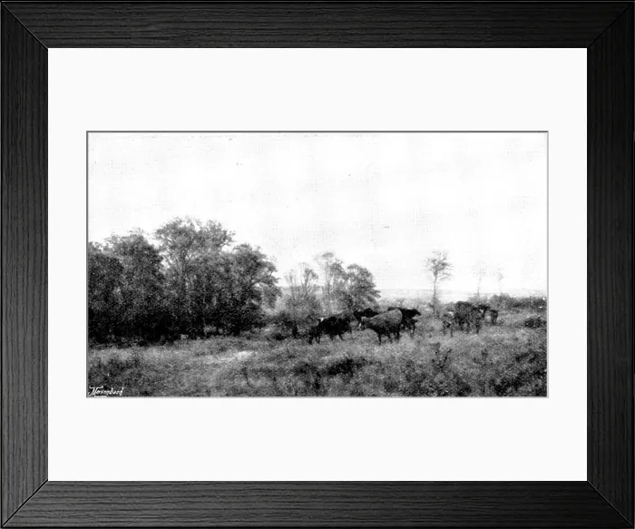 Framed Print : Pictures from the Royal Academy; April: Forenoon in the Condette Dunes - H. W. B. Davis, R.A. 1895. Creator: George Meisenbach Framed Print : Pictures from the Royal Academy; April: Forenoon in the Condette Dunes - H. W. B. Davis, R.A. 1895. Creator: George Meisenbach