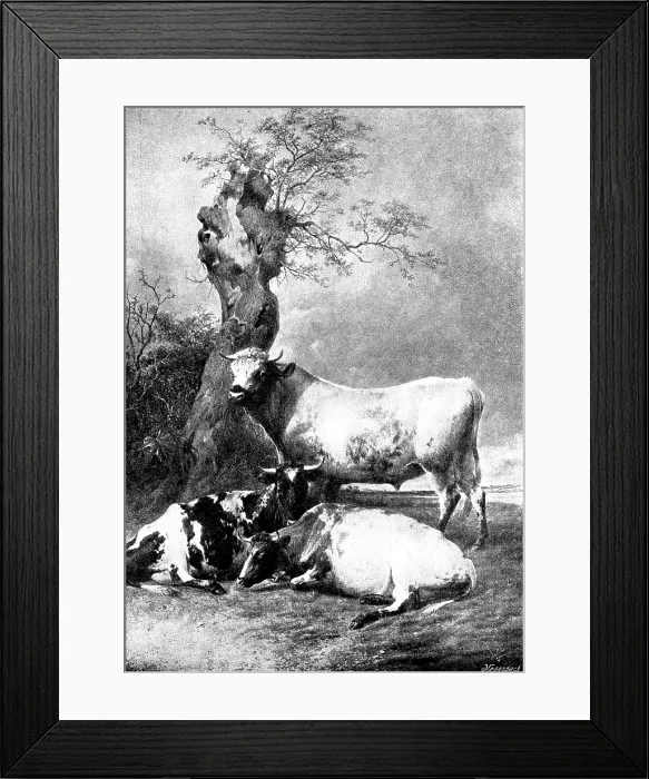Framed Print : Pictures from the Royal Academy: Repose - T. S. Cooper, R.A. 1895. Creator: George Meisenbach Framed Print : Pictures from the Royal Academy: Repose - T. S. Cooper, R.A. 1895. Creator: George Meisenbach