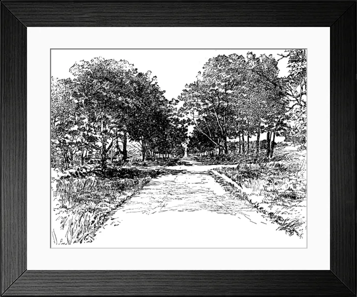 Framed Print : The Boswell Centenary: The Avenue, Auchinleck, 1895. Creator: Unknown Framed Print : The Boswell Centenary: The Avenue, Auchinleck, 1895. Creator: Unknown